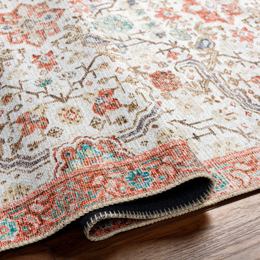 Amelie Rug - AML2365 - Gray/Coral/Blue