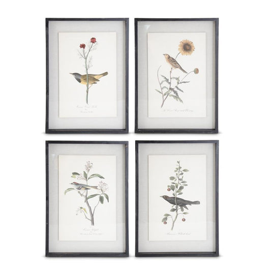 22" Framed Bird Print