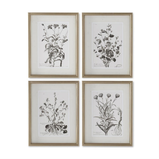 18" Gold Frame Botanical Print