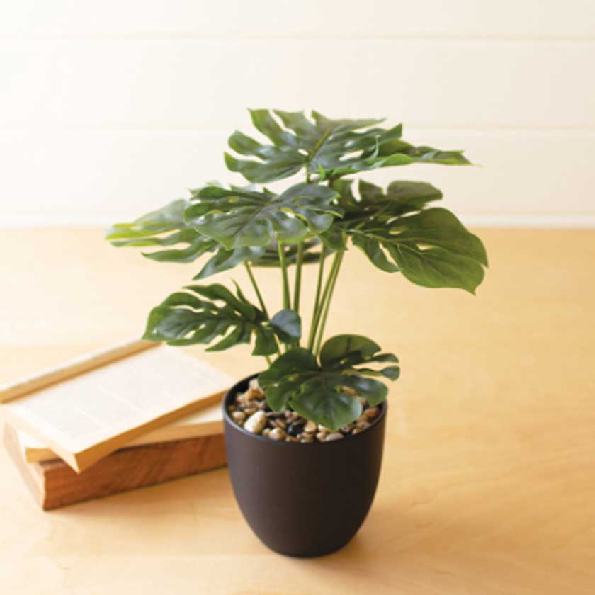 Artificial Monster Plant in a Plastic Pot - Kalalou