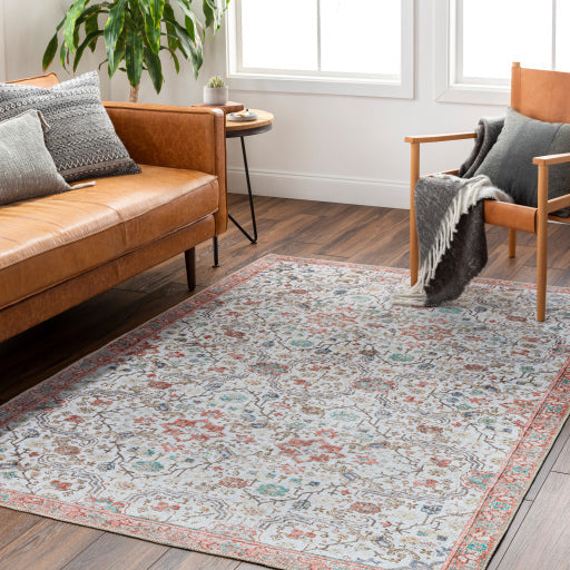 Amelie Rug - AML2365 - Gray/Coral/Blue