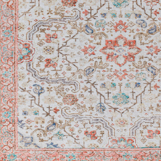 Amelie Rug - AML2365 - Gray/Coral/Blue